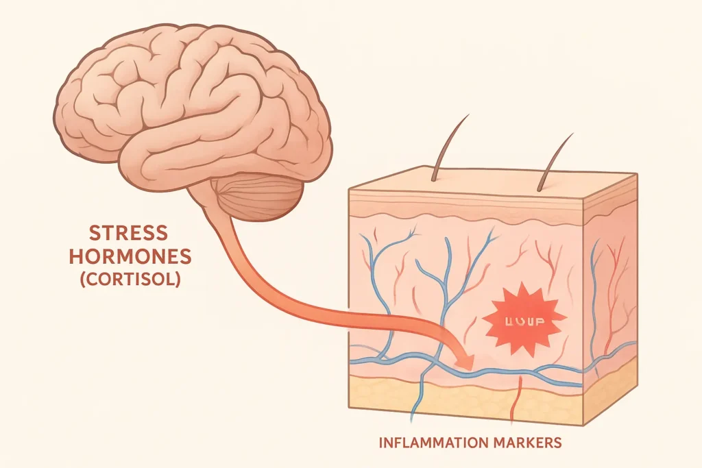 stress-affects-pre-existing-skin-conditions-2025